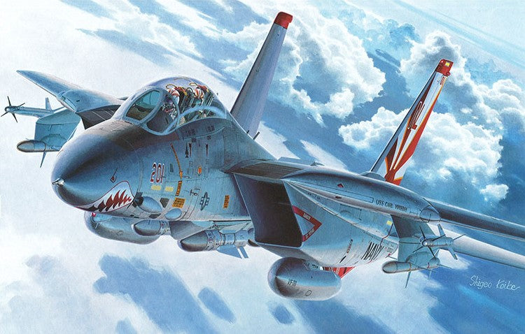 1/72 F-14A Tomcat (High Visibility) markings by Hasegawa