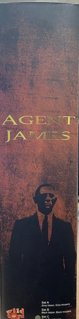1/6 WILD TOYS - AGENT JAMES WITH BLACK SUIT SET WT024B